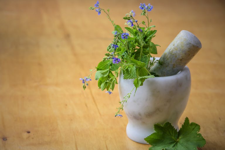 Purple Petaled Flowers in Mortar and Pestle Purple Petaled Flowers in Mortar and Pestle